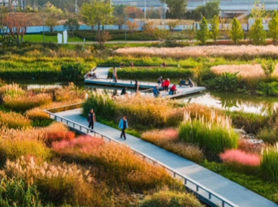 秋光為伴，我們與張村河共繪新景
